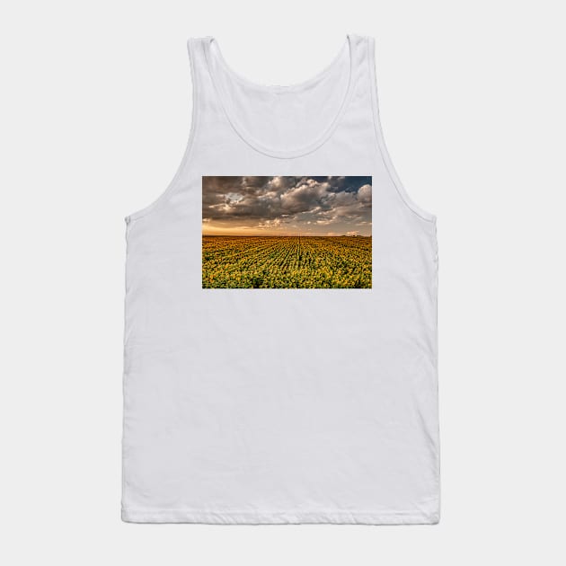 Sunflower Sunset Clouds Tank Top by nikongreg